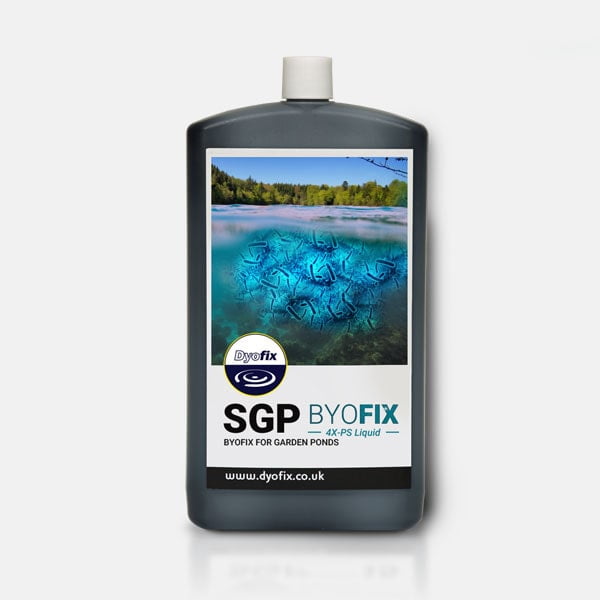 Byofix 4X-PS Bacteria 300gm